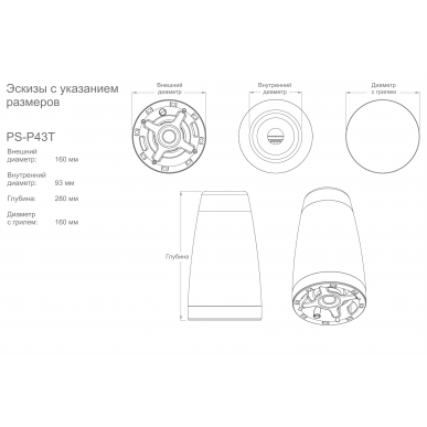 Подвесная акустика Sonance PS-P43T Black